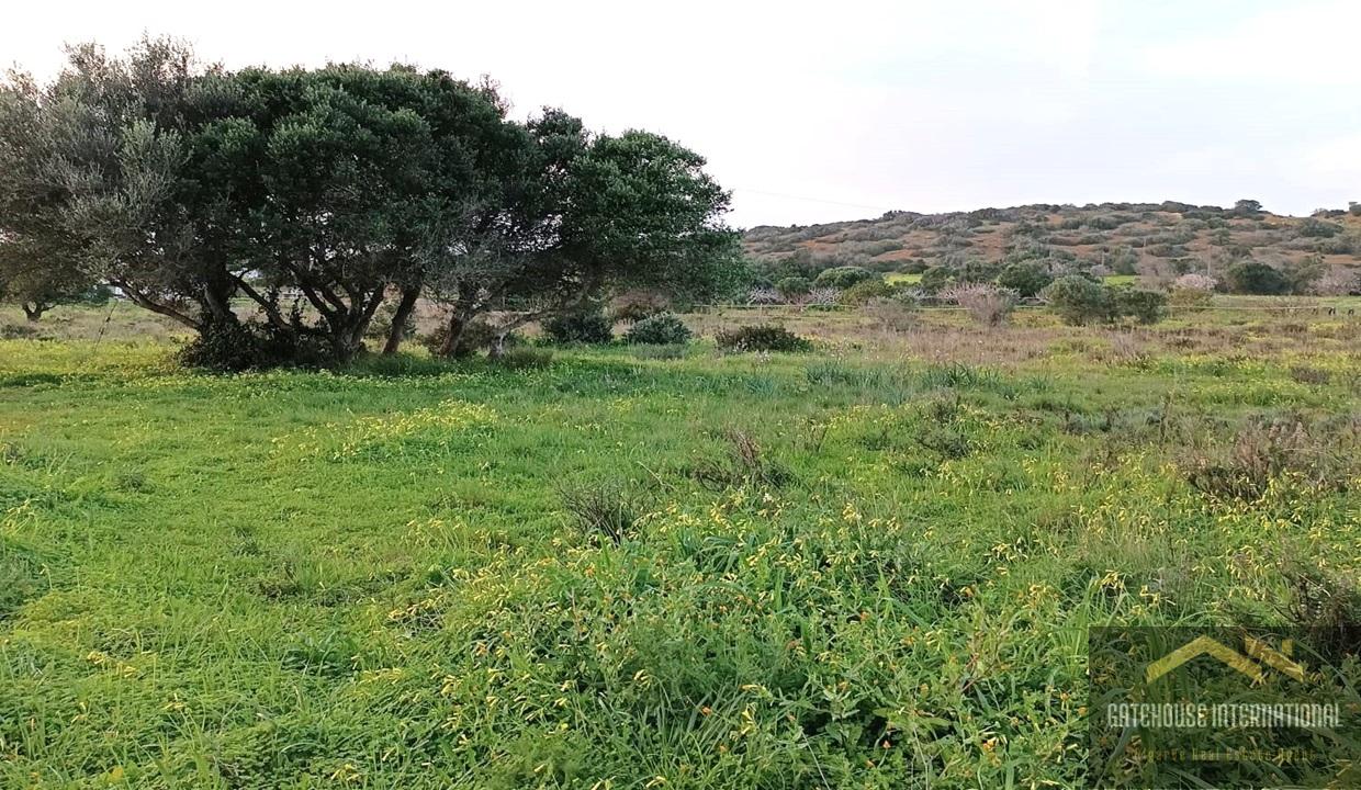 Rustic Land For Sale In Burgau West Algarve 1
