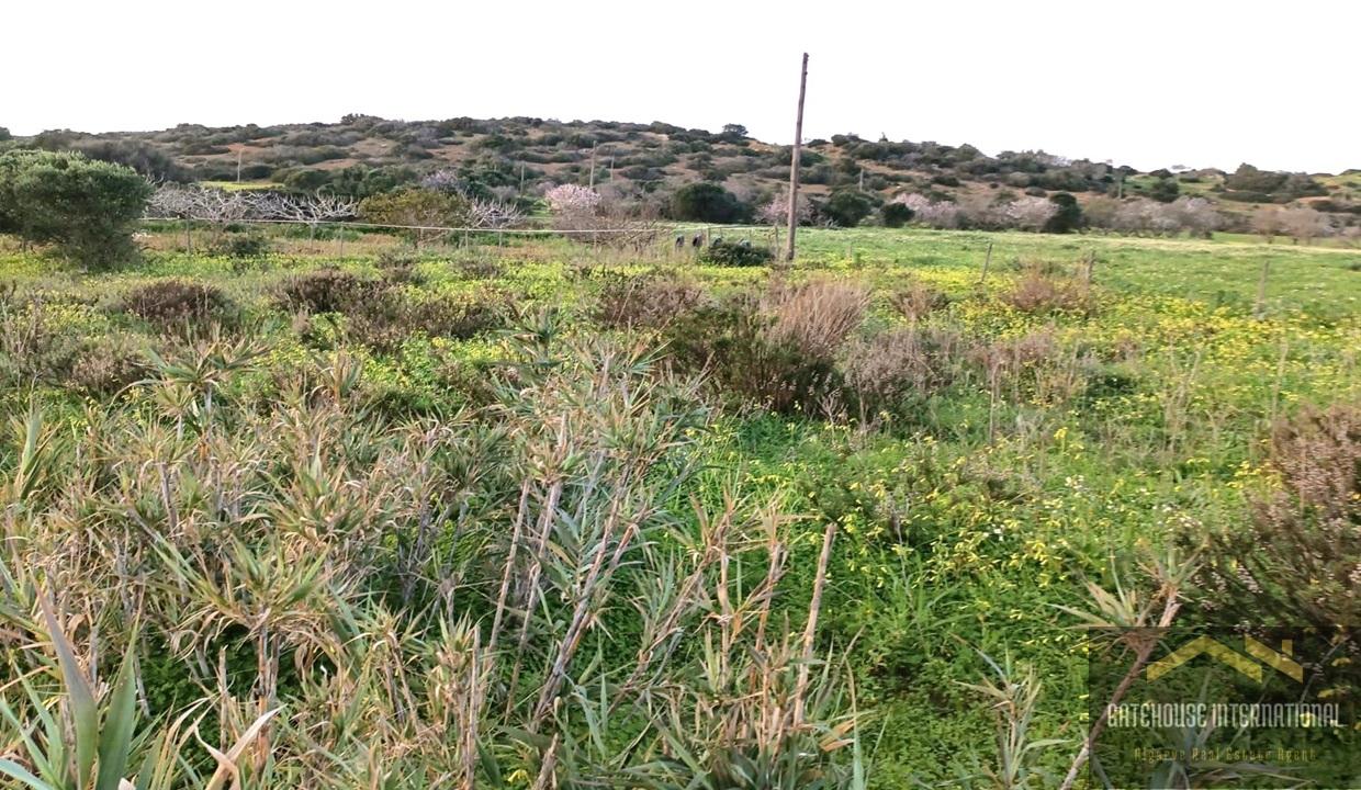 Rustic Land For Sale In Burgau West Algarve 6
