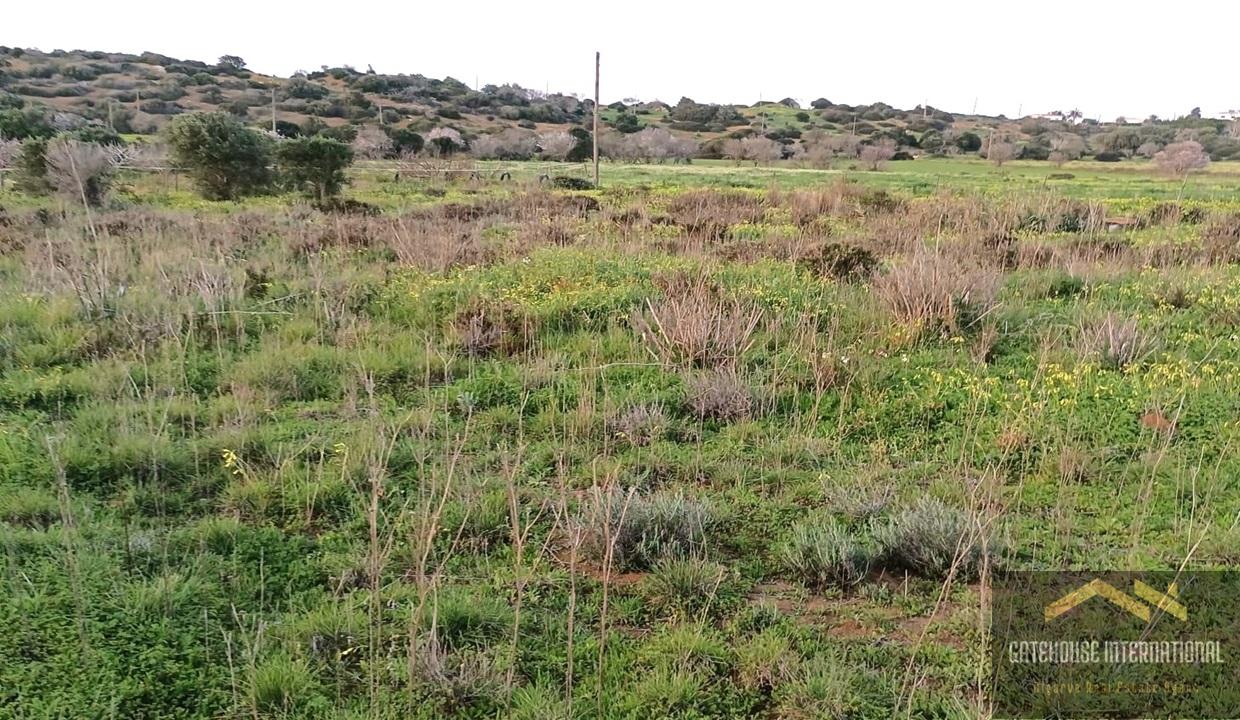 Rustic Land For Sale In Burgau West Algarve 8