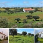 South Alentejo Countryside Villa For Sale In Ourique