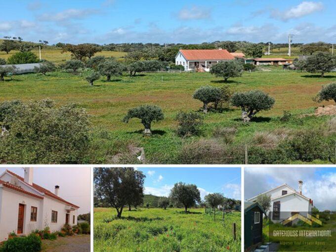 South Alentejo Countryside Villa For Sale In Ourique