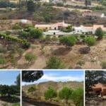 4 Bed Farmhouse & 2 Bed Farmhouse With 6.6 Hectares In Central Algarve