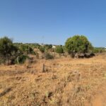 1 Hectare Building Plot To Build A Villa Near Faro Algarve 1