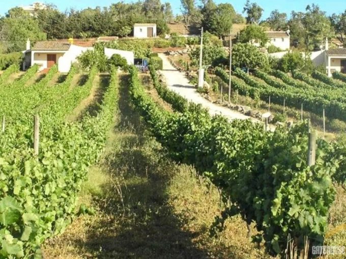 4 Bed Villa & Vineyard For Sale In Praia da Luz Algarve 1