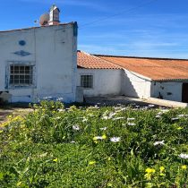 Farmhouse with 3.6 Hectares & Outbuildings In Lagos Algarve 1