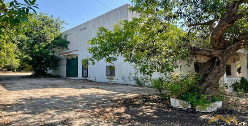 4 Bed Property For Renovation In Almancil Algarve 5