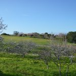 Boavista Golf View Property & Building Plot In Algarve 10