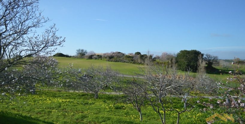 Boavista Golf View Property & Building Plot In Algarve 10