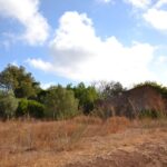 Building land with a ruin for sale in Loule, Algarve 1