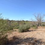 Country land for sale in Boliqueime, Algarve 1
