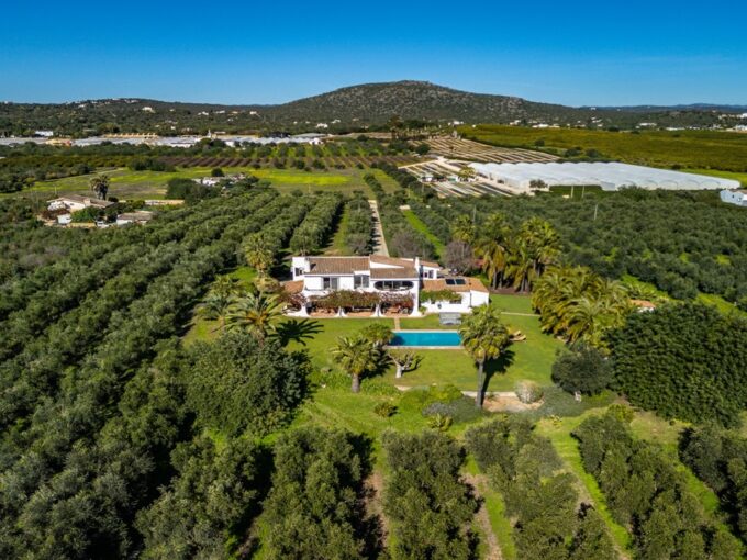 East Algarve property estate with 7 hectares in Moncarapacho 28
