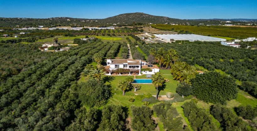 East Algarve property estate with 7 hectares in Moncarapacho 28