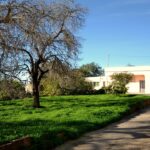 4 bed detached split villa for sale in Loule, Algarve 22