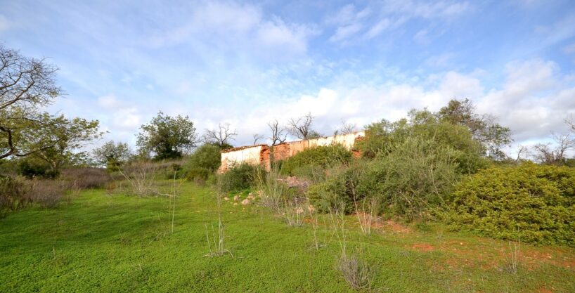 Algarve 1 hectare plot with ruin for sale in Boliqueime 1