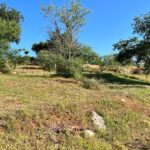 Land with an approved project to build in Almancil, Algarve 1