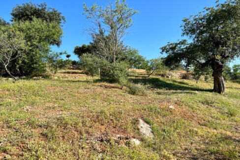 Land with an approved project to build in Almancil, Algarve 1