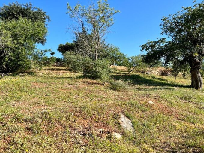 Land with an approved project to build in Almancil, Algarve 1