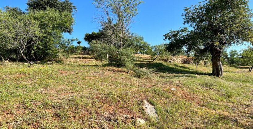Land with an approved project to build in Almancil, Algarve 1
