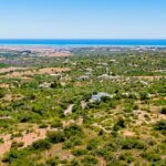 2 hectare building plot in Moncarapacho,East Algarve for sale 11