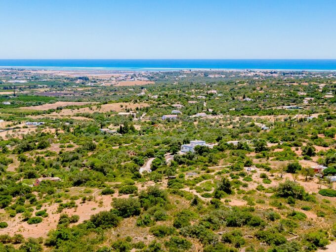 2 hectare building plot in Moncarapacho,East Algarve for sale 11