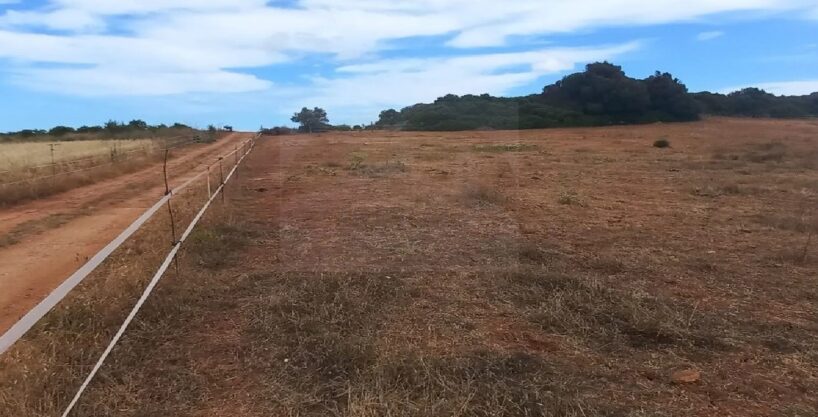 8.2 hectares of agricultural land for sale in Lagos, Algarve 1