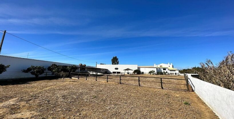 Central Algarve 4 bed villa with horse stable arena 8