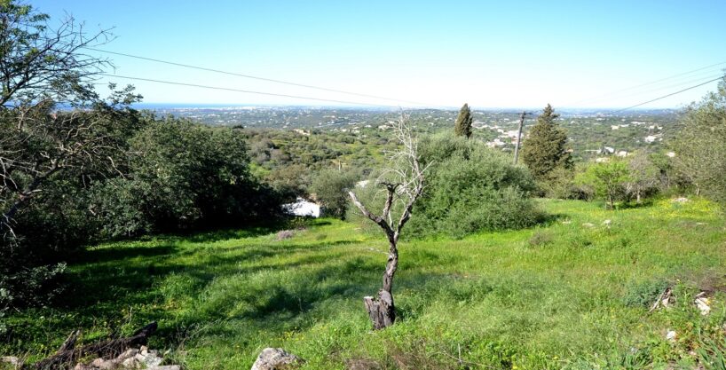 Land with approval to build a 4 bed villa in Boliqueime, Algarve 1