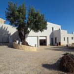 Brand new villa in Vale Formoso, Almancil 1