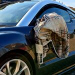 Driving Your UK Car to The Algarve for Short Term Stay