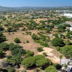 Building land with project approval in Almancil, Algarve 1