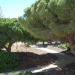 Refurbished 2 bed ground floor apartment in Carvoeiro, Algarve 1
