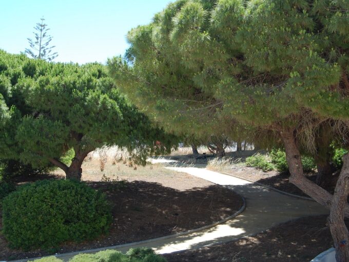 Refurbished 2 bed ground floor apartment in Carvoeiro, Algarve 1