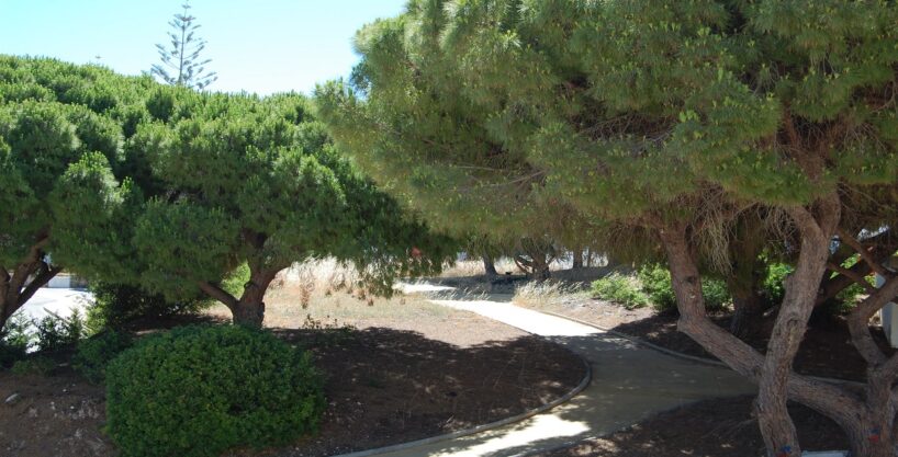 Refurbished 2 bed ground floor apartment in Carvoeiro, Algarve 1
